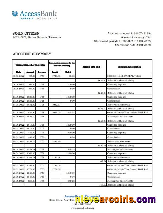 Tanzania Access Bank statement